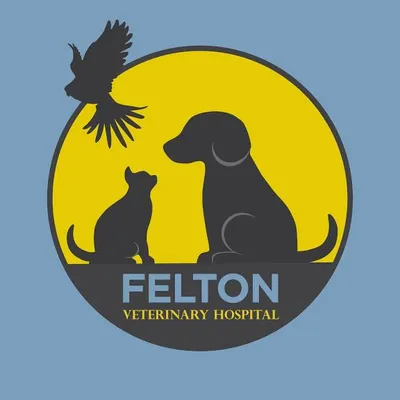 feltonveterinaryhospital.com's icon