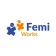Logo van Femi Works