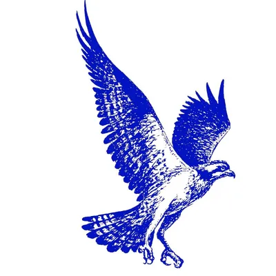 fergusonmuseum.org's icon
