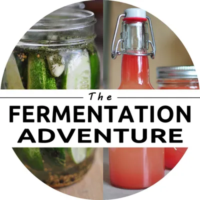 fermentationadventure.com's icon