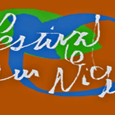 festivalsegou.org's icon