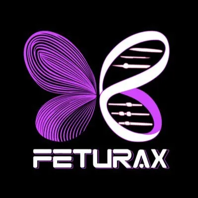 feturax.com's icon