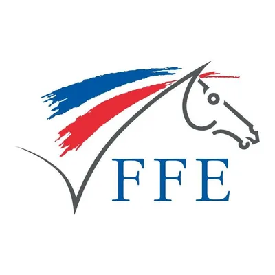 ffe.com's icon