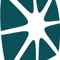fibersystem.com's icon