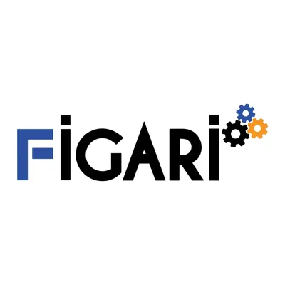figarigroup.com's icon