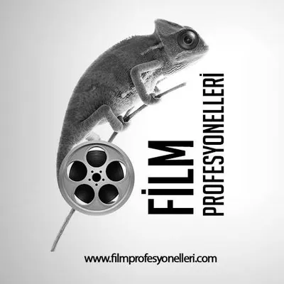 filmprofesyonelleri.com's icon