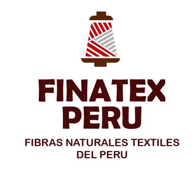 finatexperu.com's icon