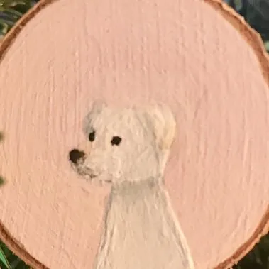 finchdvm.com's icon