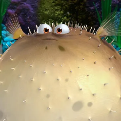 findingnemo.com's icon