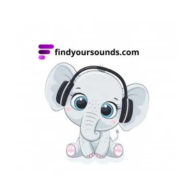 findyoursounds.com's icon