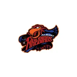 Albany Firebirds's brand icon