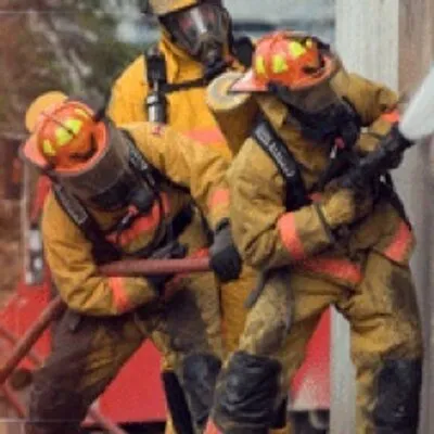 firerecruitmentaustralia.com's icon