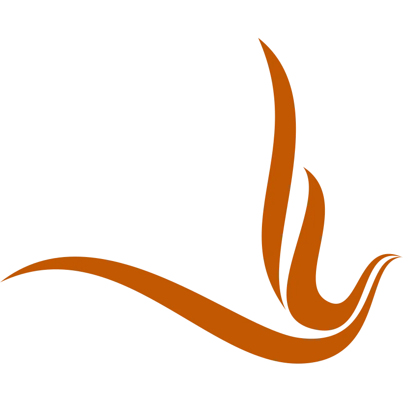 Firezone logo