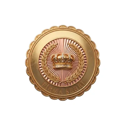 Firma Şehri's icon