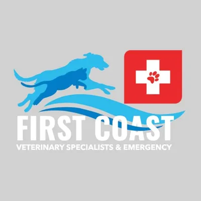 firstcoastveter.com's icon