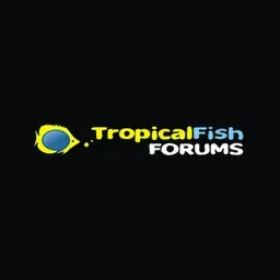 Fish Forum's brand icon