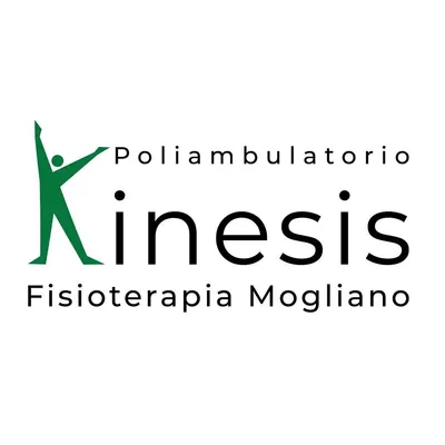 fisio-kinesis.com's icon