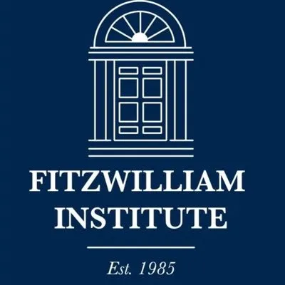 fitzwilliaminstitute.ie's icon