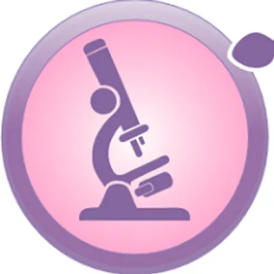 fiv.fr's icon