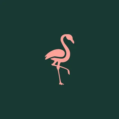 flamingospa.fi's icon