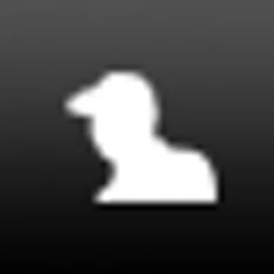 flashghetto.com's icon