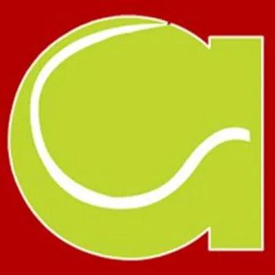 flashtennis.com's icon
