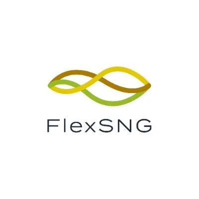 flexsng.eu's icon