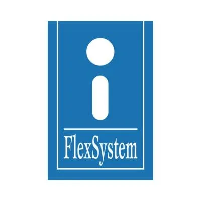 flexsystem.com's icon
