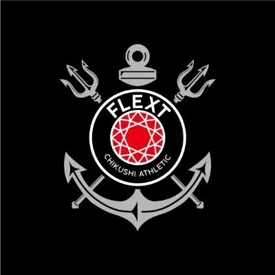 flext-coach-academy.com's icon