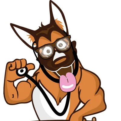 flexvets.com's icon