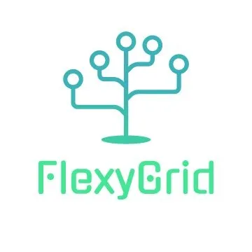 flexygrid.com's icon