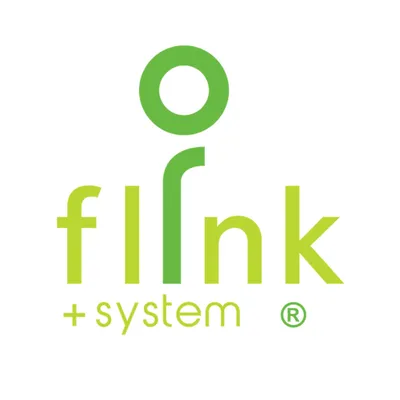 flinksystem.com's icon