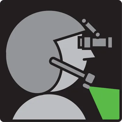 flitelite.com's icon