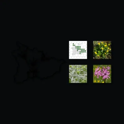 flora-wendland.de's icon