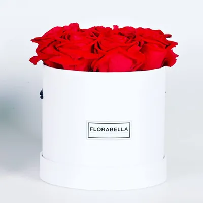 florabella.ch's icon