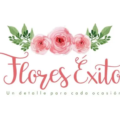floresexito.com's icon