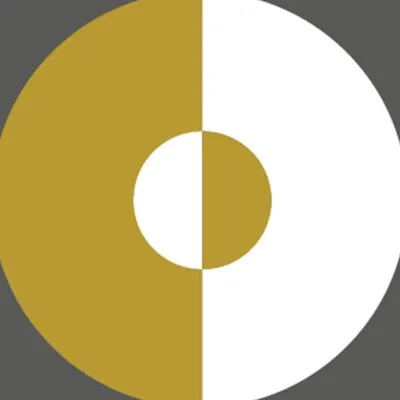 floridavisioninstitute.com's icon