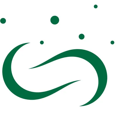 flow4future.se's icon