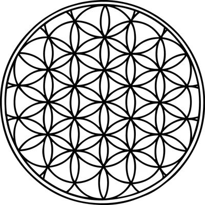 flowerrworld.com's icon