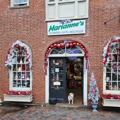 flowersbymarianne.com's icon