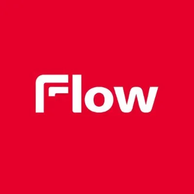 flowpl.com's icon