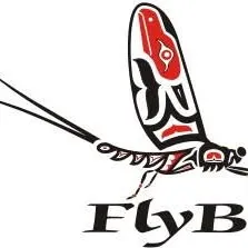 flybc.ca's icon