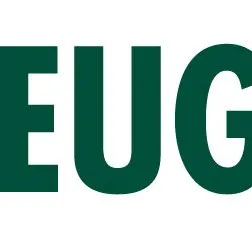 flyeug.com's icon