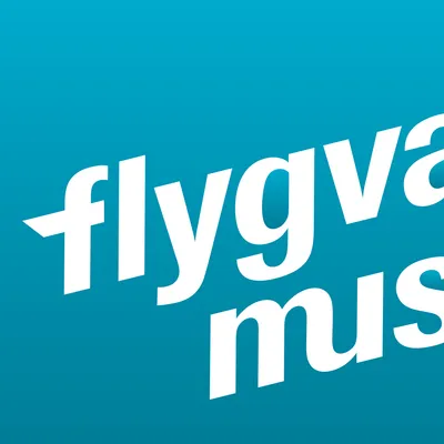 flygvapenmuseum.se's icon