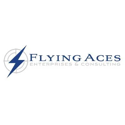 flyingacesconsulting.com's icon