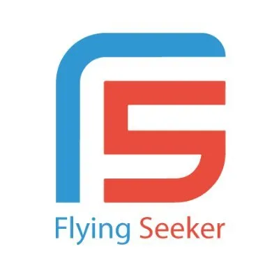 flyingseekers.com's icon