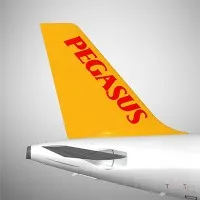 Pegasus Airlines's icon