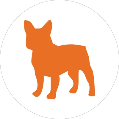 flyrogue.com's icon