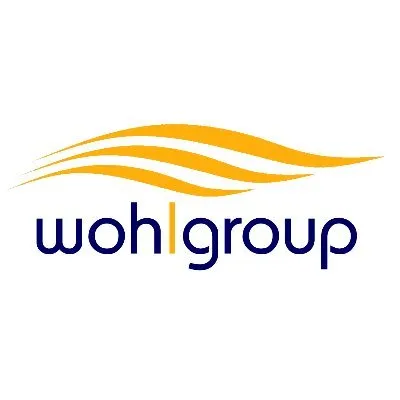 flywoh.com's icon