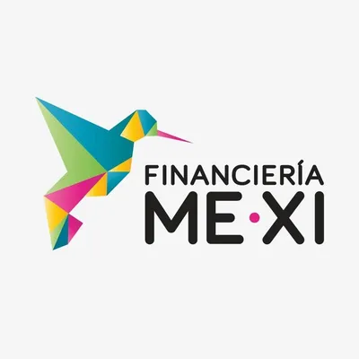 fmexi.com's icon